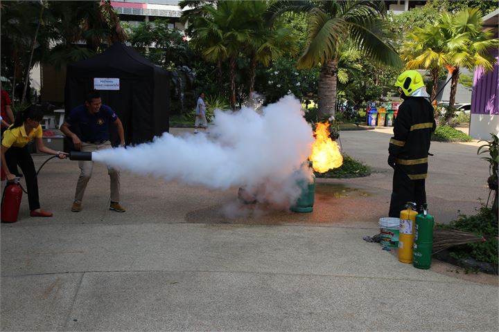 ภาพที่ 205