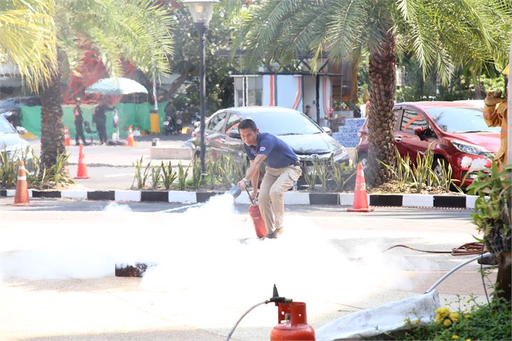 ภาพที่ 223