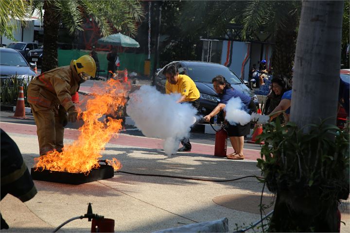 ภาพที่ 224
