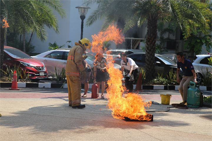 ภาพที่ 229