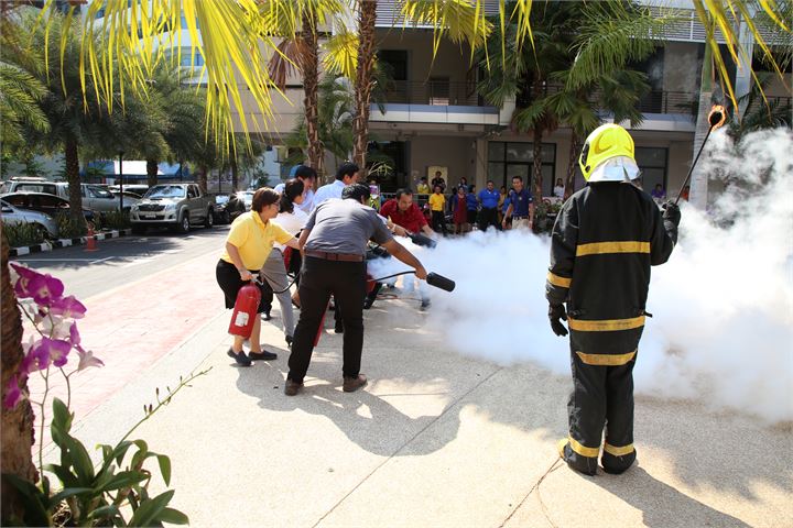 ภาพที่ 243