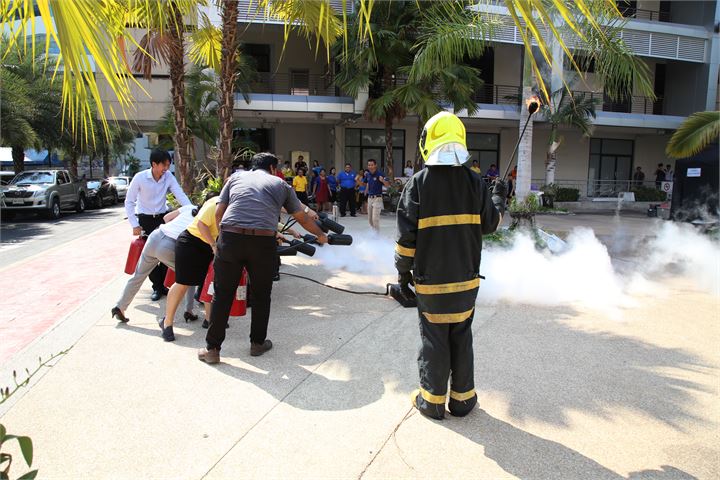 ภาพที่ 245