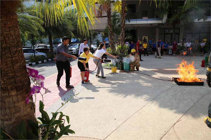 ภาพที่ 246