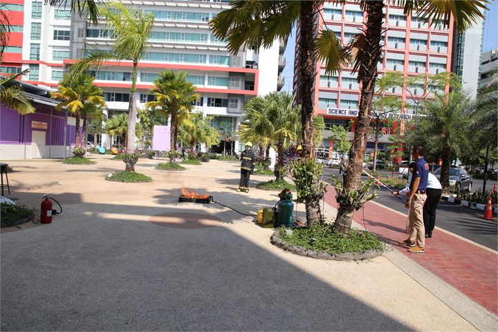 ภาพที่ 257