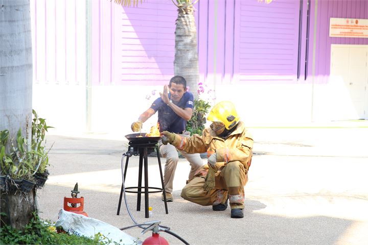 ภาพที่ 261