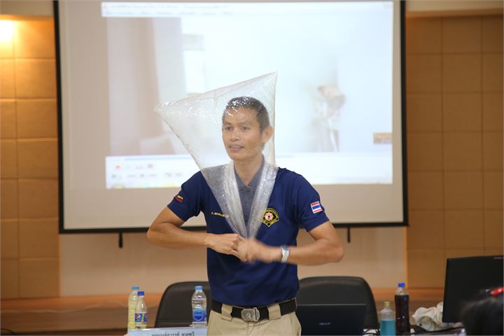 ภาพที่ 295