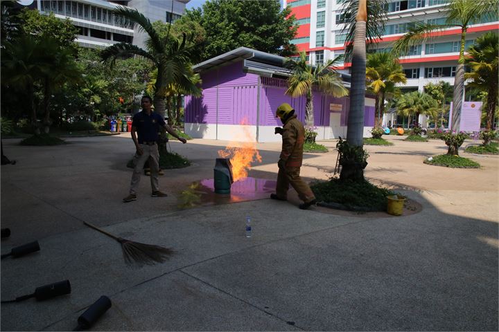 ภาพที่ 381